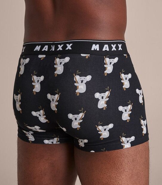 Maxx Flyfront Trunks