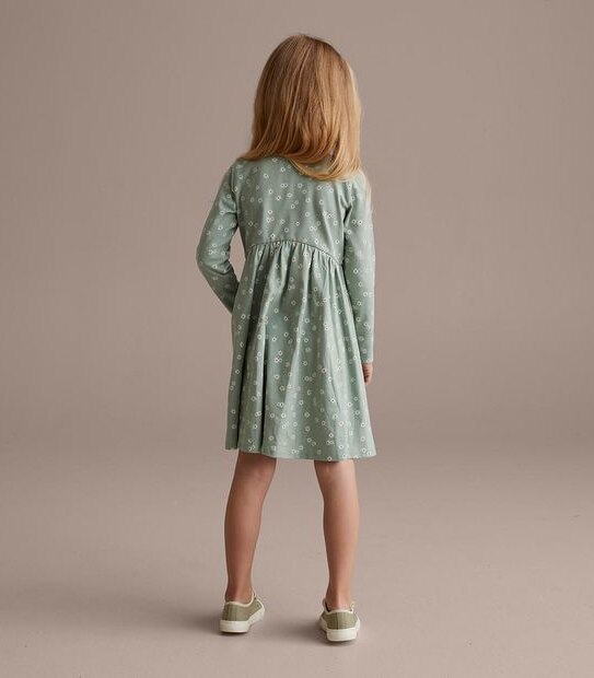 Long Sleeve Print Dress