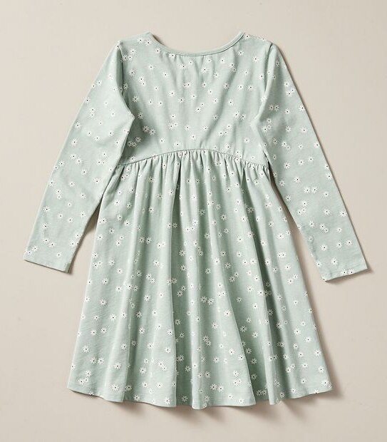 Long Sleeve Print Dress