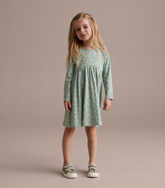 Long Sleeve Print Dress