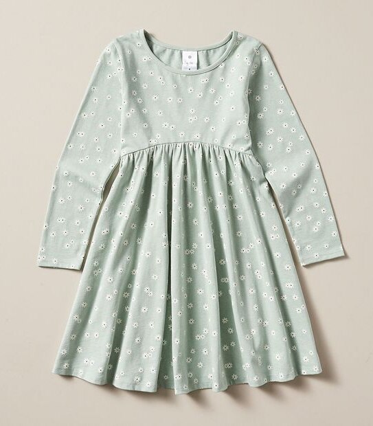 Long Sleeve Print Dress