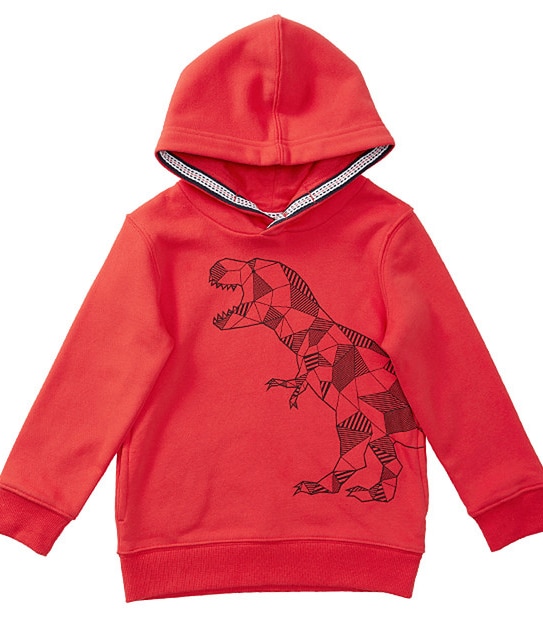 Print Hoodie