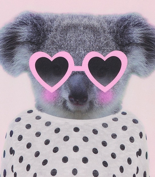 Girls' Short Sleeve Koala Sunglasses Print T-Shirt 3 of 3