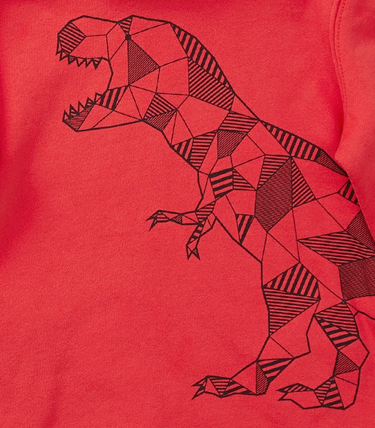 Print Hoodie