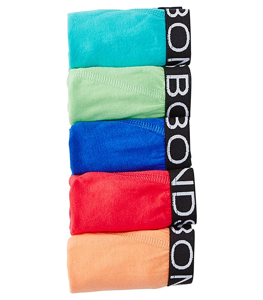 Bonds 5 Pack Briefs