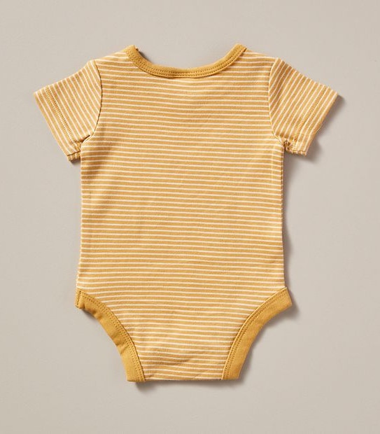 Baby Organic Cotton 5 Pack Bodysuits