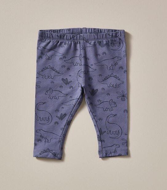 3 Piece Baby Organic Cotton Dinosaur Set