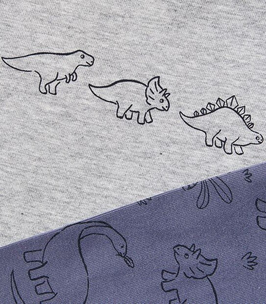 3 Piece Baby Organic Cotton Dinosaur Set