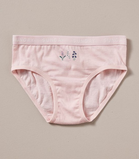 7 Pack Maxx Briefs
