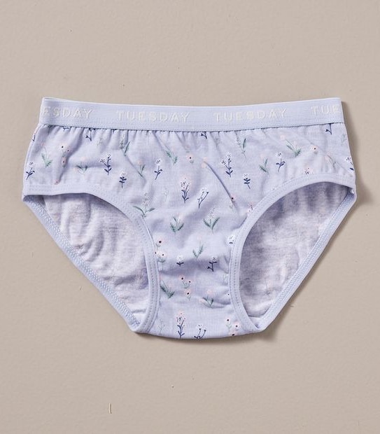 7 Pack Maxx Briefs