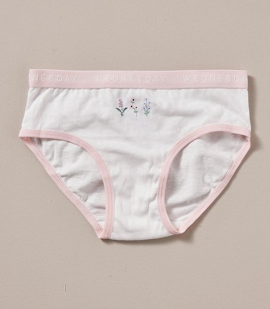 7 Pack Maxx Briefs