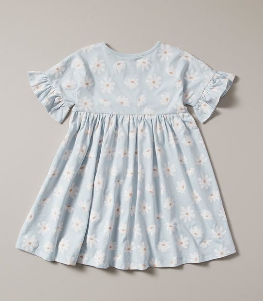Frill Sleeve Print Dress