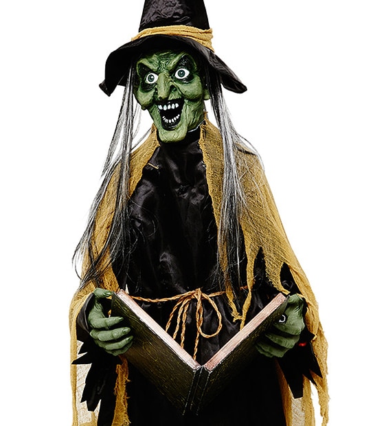 Animated Halloween Witch