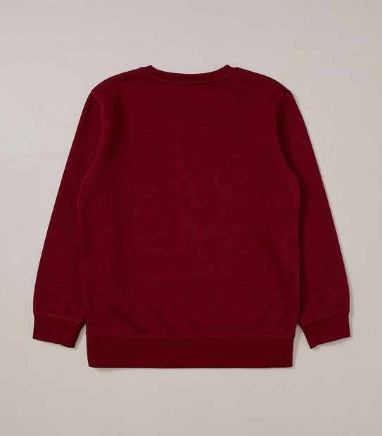 School Fleece Jumper
