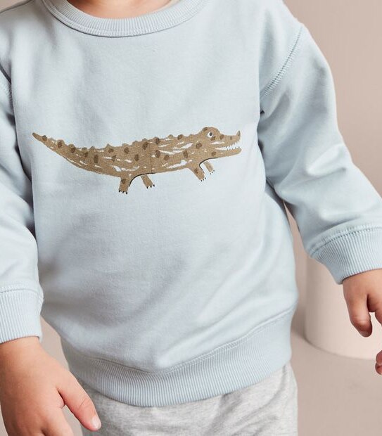 Baby Jumper