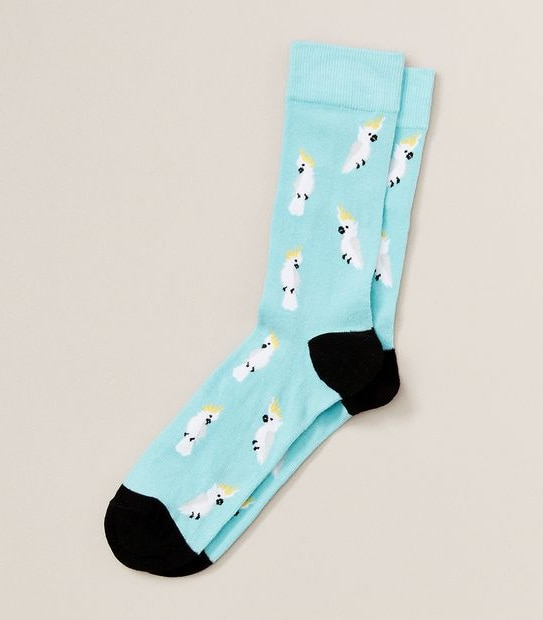 Maxx Crew Socks - Cockatoo