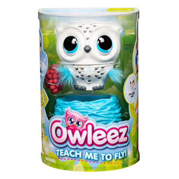 toy owl you teach to fly