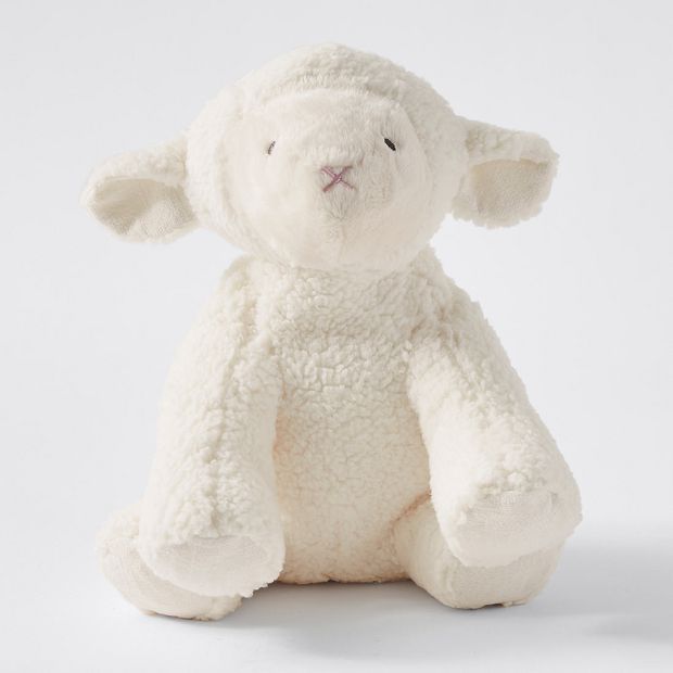 lamb teddy