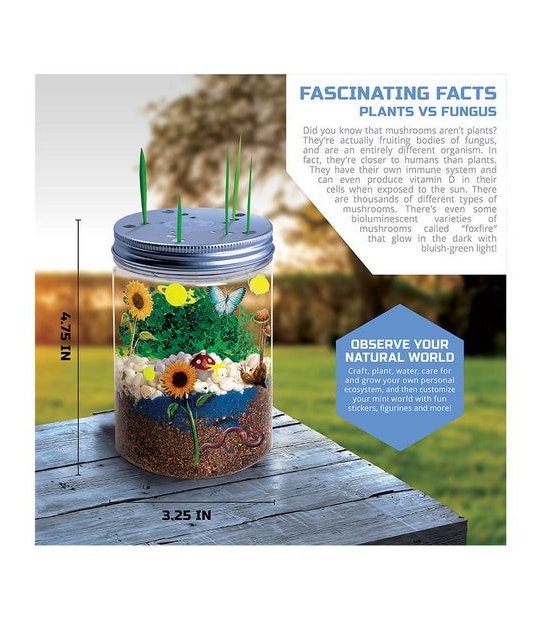 STEM Discovery #Mindblown - DIY Terrarium Grow Kit - Fast-Growing Indoor Mini Garden