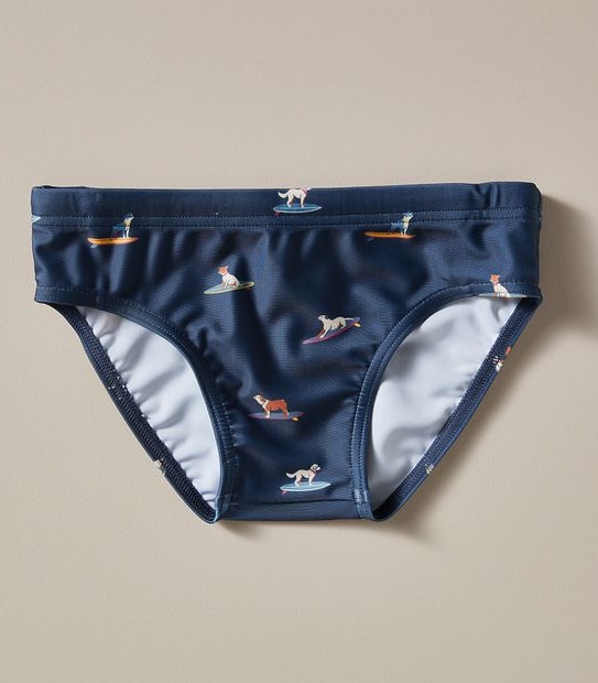 Swim Racer Brief