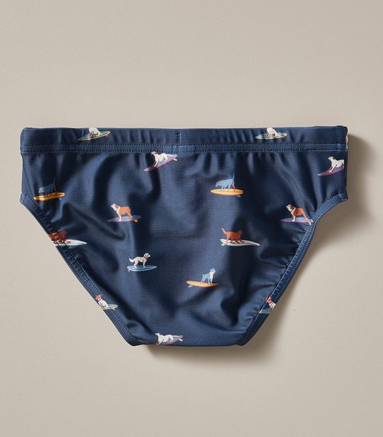 Swim Racer Brief
