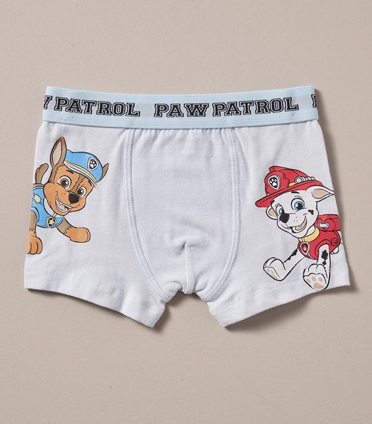2 Pack Paw Patrol Trunks