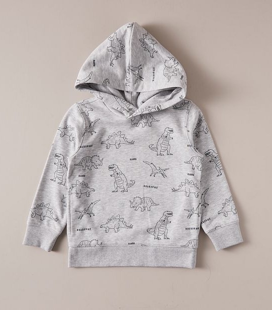 Dinosaur Hoodie