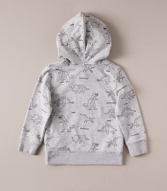 Dinosaur Hoodie