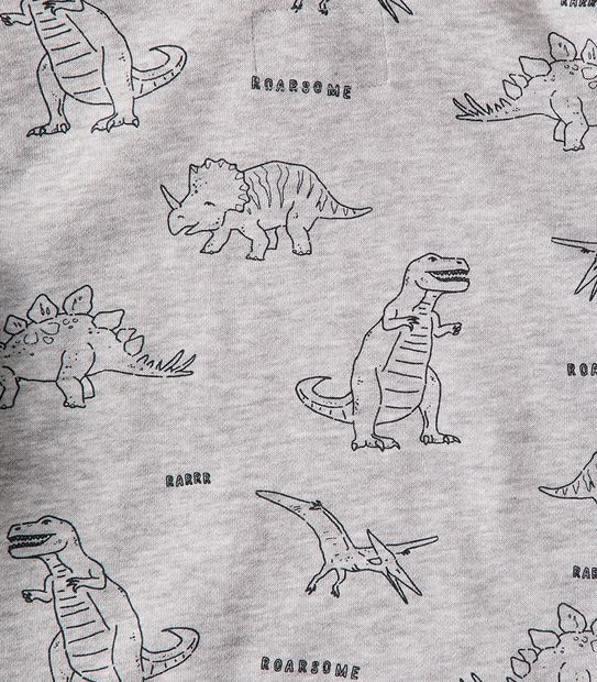 Dinosaur Hoodie