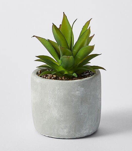 Faux Succulent In Cement Pot