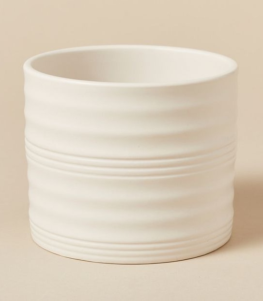 Mini Matte Ribbed Pot
