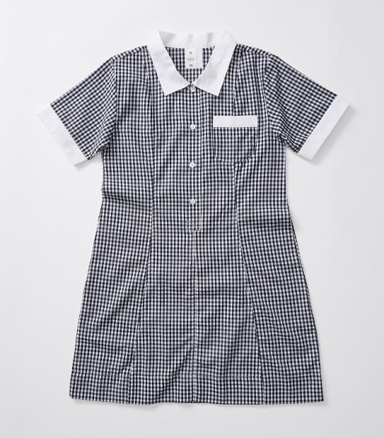 Gingham School Dress