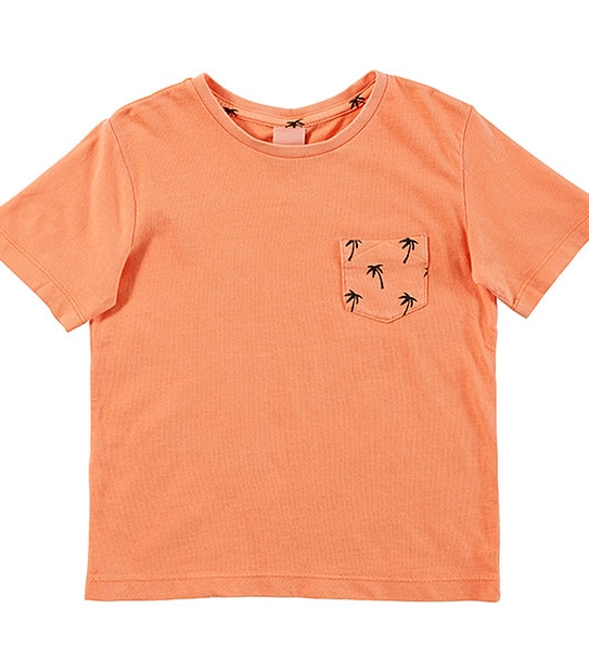 Boys' Short Sleeve Print Pocket T-Shirt - Orange