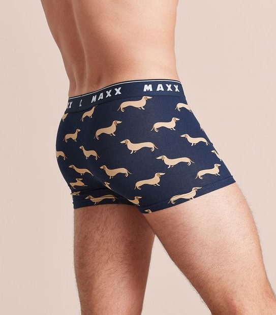 Maxx Flyfront Trunks