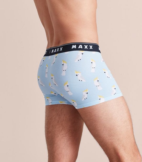 Maxx Flyfront Trunks