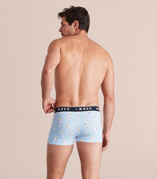 Maxx Flyfront Trunks