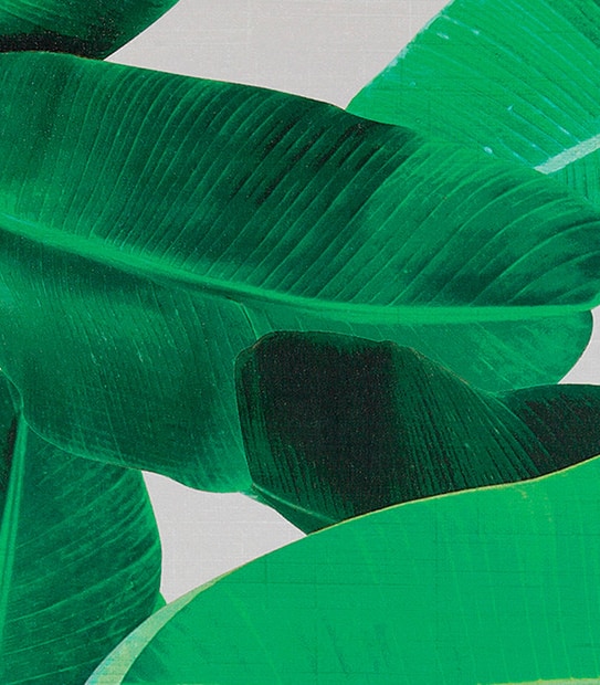 Banana Leaf Canvas 50 x 70cm