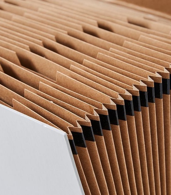 Paper Crane Expandable File