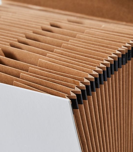 Paper Crane Expandable File