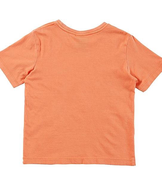 Boys' Short Sleeve Print Pocket T-Shirt - Orange
