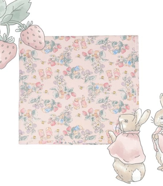 Peter Rabbit Bunny Rug