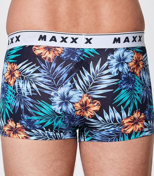 Maxx 3 Pack Fly Front Trunks