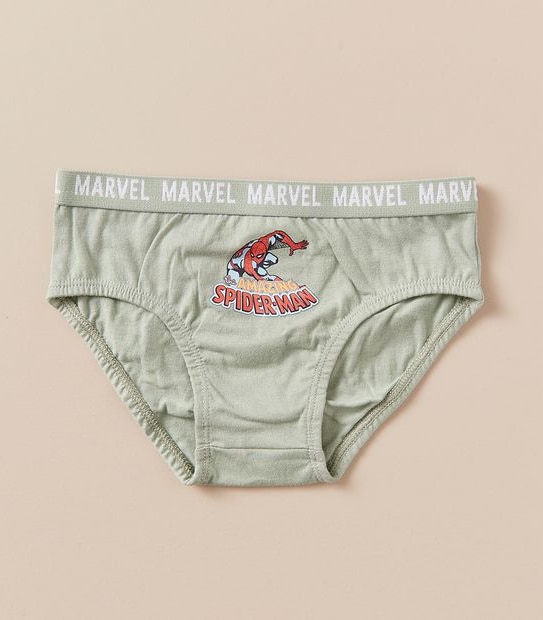 5 Pack Marvel Briefs