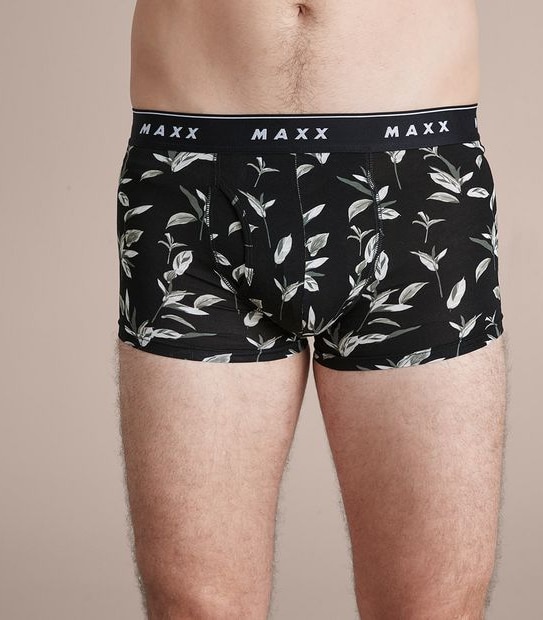 Maxx 3 Pack Bamboo Trunks