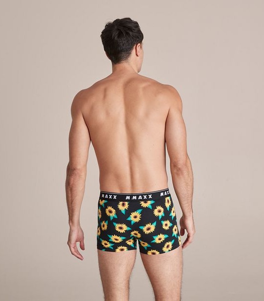 Maxx Flyfront Trunks