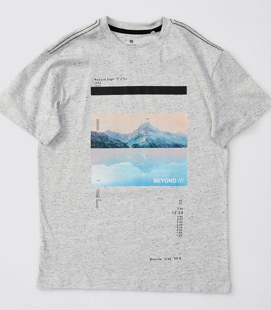 Photo Print T-shirt - Grey