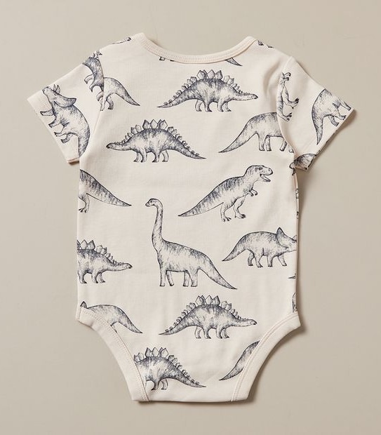 5 Pack Baby Organic Cotton Bodysuits