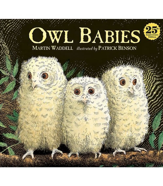 Owl Babies 25Th Ann Board Book - Martin Waddell