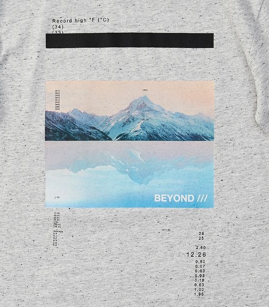 Photo Print T-shirt - Grey
