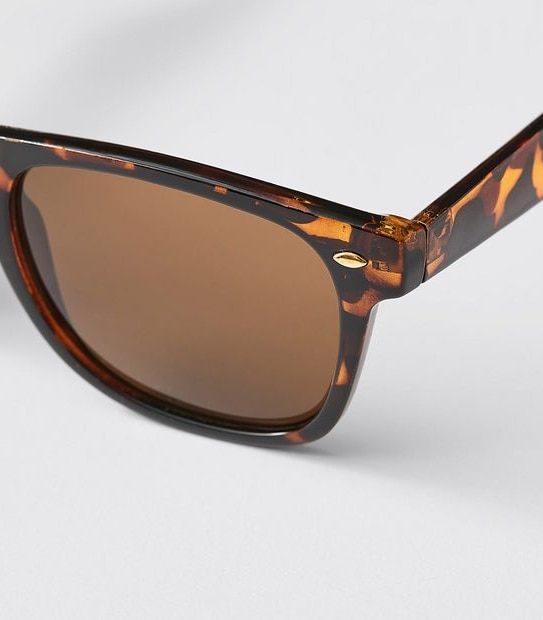 Avery Sunglasses